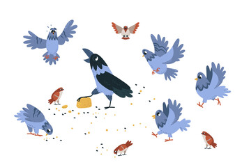 Street birds eating. Magpie, crow and sparrows with pigeons. Isolated urban scene with bird crowd feeding. Funny characters pecking, classy vector concept