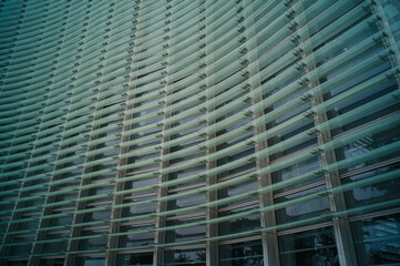 東京のラウンドシェイプ