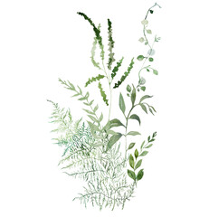 Bouquet with Watercolor fragile stems and tiny green leaves isolated illustration, botanical wedding