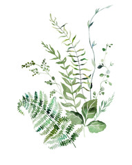 Bouquet with Watercolor fragile stems and tiny green leaves isolated illustration, botanical wedding