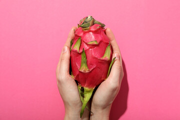 One whole dragon fruit in hands on pink background, top view