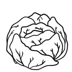 Cabbage Coloring Book