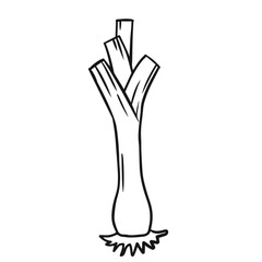 Leek Outline