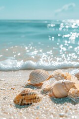 Fototapeta na wymiar beach with seashells