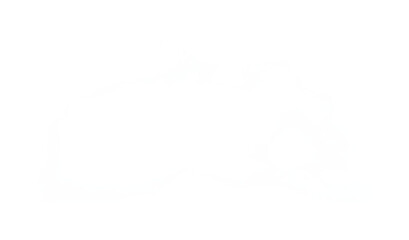 White Clouds Surface Background, isolated abstract soft group cloud computing of fluffy Smoke, Steam, Fog or Haze,Wide horizontal illustration of nature elements for landscape design