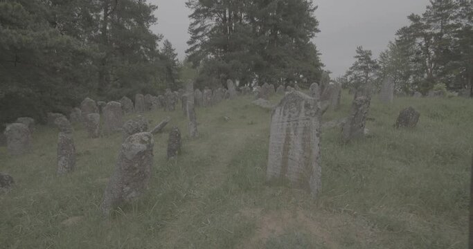 Old ancient Jewish cemetery in summer spring day. Druya, Belarus. green grass and many ancient stones. Headstone Headstones Tombstones jewish grave, clog2, clog, canon c70 c log 2.