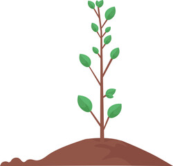 Tree seedling. Vector flat illustration