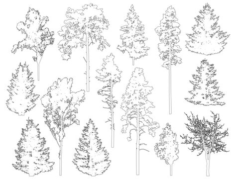 Trees Line Drawing Images – Browse 826,019 Stock Photos, Vectors, and ...
