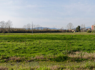 Obraz premium beautiful countryside view in Sarzana in the province of La Spezia