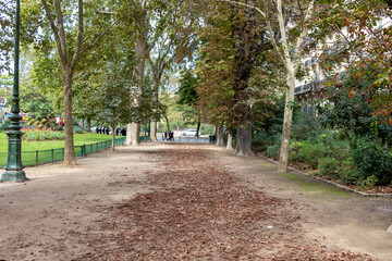 alley in the park
