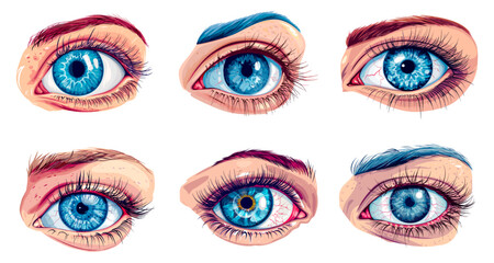 Realistic human eye, woman or man eyes with blue pupil iris eyelash and eyebrow, anatomy eyeball health retina optical vision cartoon set isolated vector illustration - 799941216