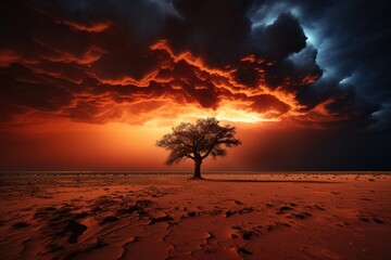 Dramatic sunset landscape with lone tree