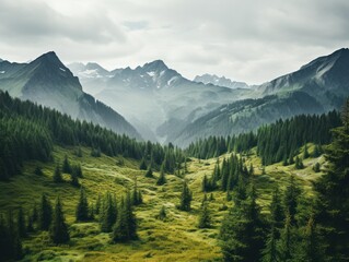Majestic Mountain Landscape with Lush Forests