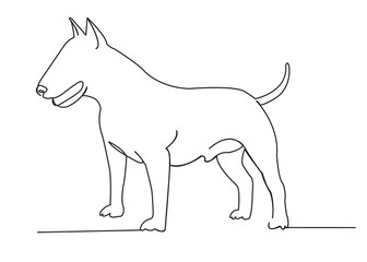 dog bull terrier