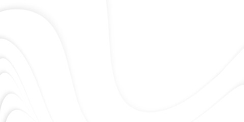 gray and white background with curved lines with shadows and  are layered on top of each other. modern pattern and copy space