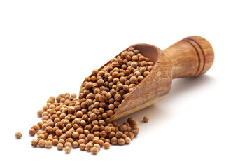 Front view of a wooden scoop filled with dry Organic Coriander (Coriandrum sativum) seeds. Isolated on a white background.