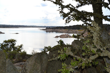NATURALEZA EMBALSE VIVE ZAMORA