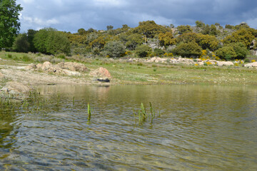 NATURALEZA EMBALSE VIVE ZAMORA