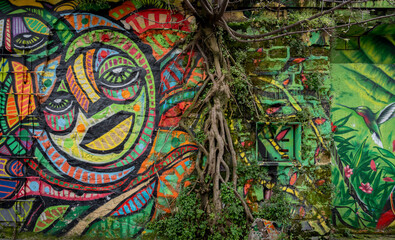 Paris, France - 03 24 2024: Ourcq Canal. Detail of a colorful graffiti and a creeping tree on a wall