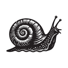 illustration of a snail on a white background