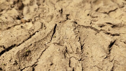 Dry ground cracked and dried-up land soil or sand surface. Drought, lack of water, climate change heatwave, and global warming disaster concept. Extreme closeup top side view.