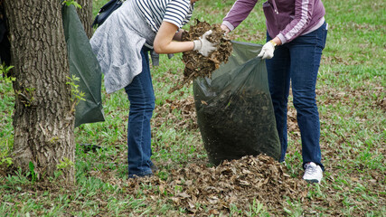 Two women cleaning up dry leaves in a fall park. Garbage collection - cleanup day. Municipal...