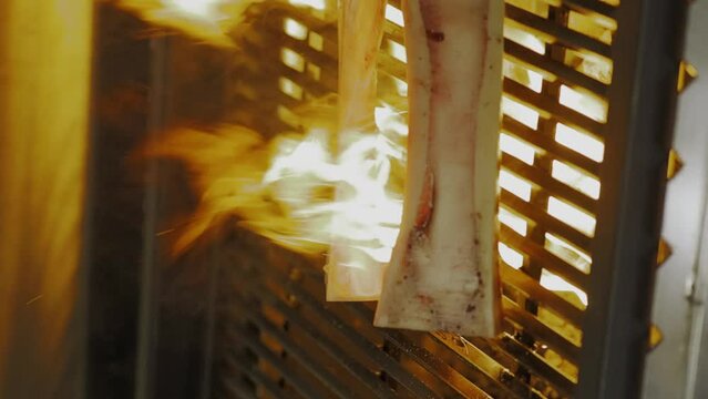 The process of cooking bone marrow on a grill over an open fire. Chef cooking on grill, close up, vertical video