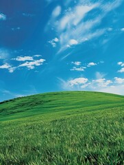 Fototapeta na wymiar A grassy hillside under the blue sky