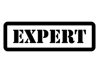 Expert stamp symbol, label sticker sign button, text banner vector illustration