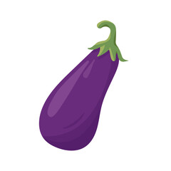 Fresh whole Eggplant vegetable. Farm eggplant plant icon. Organic garden vegetarian food. Vector illustration isolated on white background.