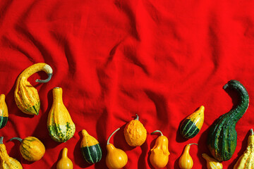 Assorted Mini Pumpkins on Red Fabric, colorful selection of mini pumpkins and gourds on vibrant red...