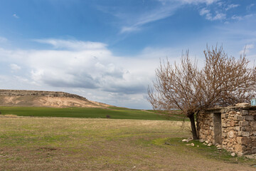 A stone cottage and tree in the countryside at the beginning of the spring for the purpose of web...