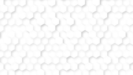 Hexagon Beehive honeycomb pattern wall black and white