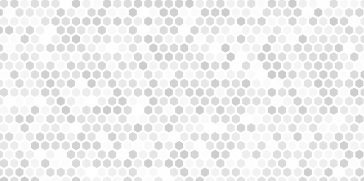 Hexagon Beehive honeycomb pattern wall black and white
