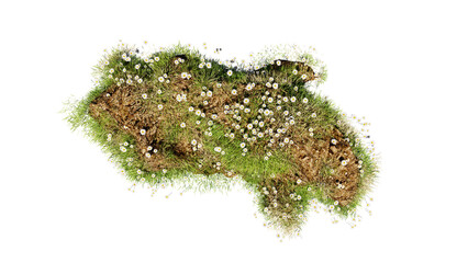 Top view of 3D render various types of flowers grass bushes shrub and small plants on transparent background
