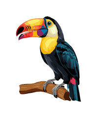 Obraz premium A colorful exotic bird, toucan, parrot with a long beak is perched on a branch. The bird's bright colors and unique beak make it stand out against the white background. Cartoon vector illustration.