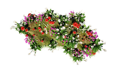 Top view of 3D render various types of flowers grass bushes shrub and small plants on transparent background
