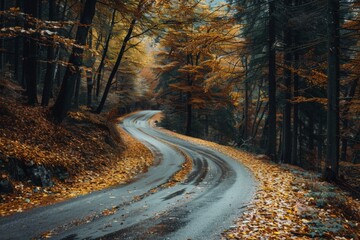 Obraz premium A winding road cuts through a dense forest, twisting and turning amidst tall trees and lush greenery, providing a mystical and enchanting journey.