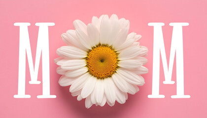 I Love Mom, Happy mothers Day. Colorful Daisy with MOM text on lilac Background  for Celebrations like Valentine's Day and Mother's Day	
