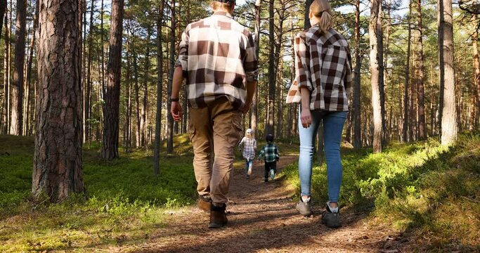 family enjoying walk in beautiful pine forest on sunny day. running children