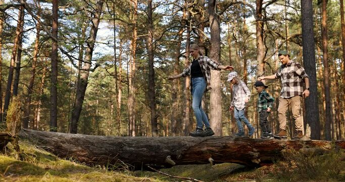 active young family with two children walking on fallen tree in forest. outdoor adventures