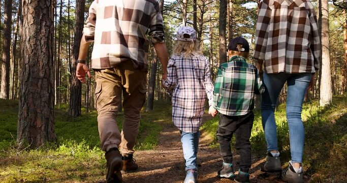 family with children walking together in beautiful pine forest. holding hands