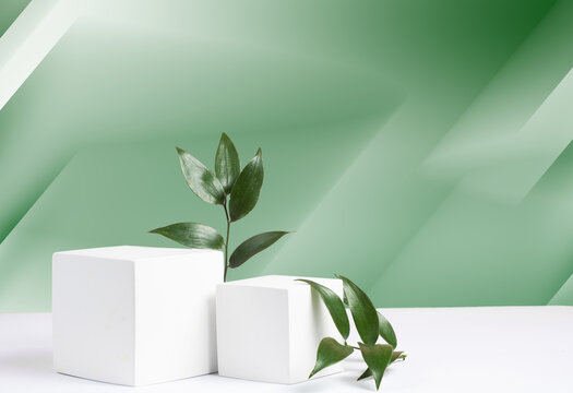  Two cement cubic podiums and green leaves of ruscus against a green gradient background. Mockup for the demonstration of cosmetic products. Copy space.