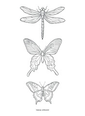 Butterflies and dragonfly drawings collection for poster, print, card, sublimation, coloring page, wall art, stickers, etc. EPS 10