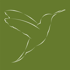 vector hummingbird art green background and white line