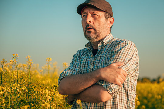 Portrait of farmer agronomist in blooming rapeseed field with arms crossed