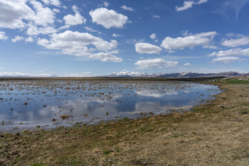 Partially grassy small lake and snow-covered mountains. Green grass, bright sky with clouds.