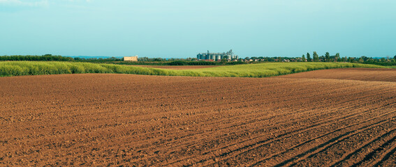 Agricultural field seedbed after crop seeding