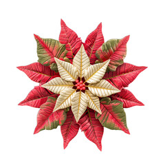 red poinsettia flower