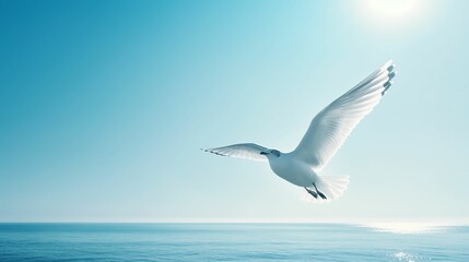 Seagull flying in the sky over the sea.
